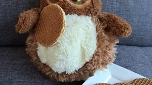 Stroopwafels te koop